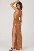 Embellished Maxi Dress in Bronze