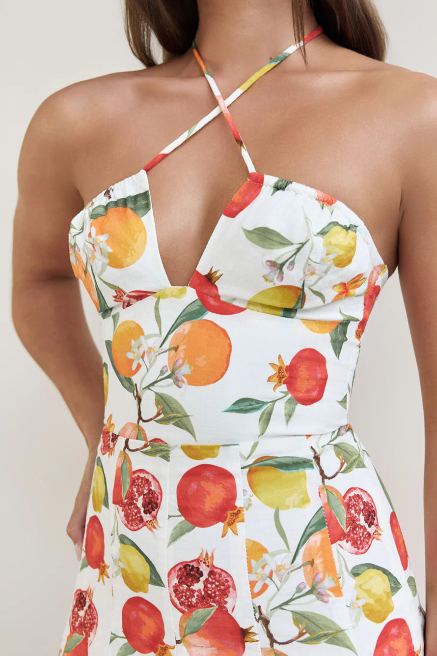 Fruits Of Summer Mini Dress Print